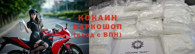 КОКАИН Fish Scale  закладки  Борзя 